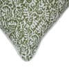 Willow Olive - Image 5